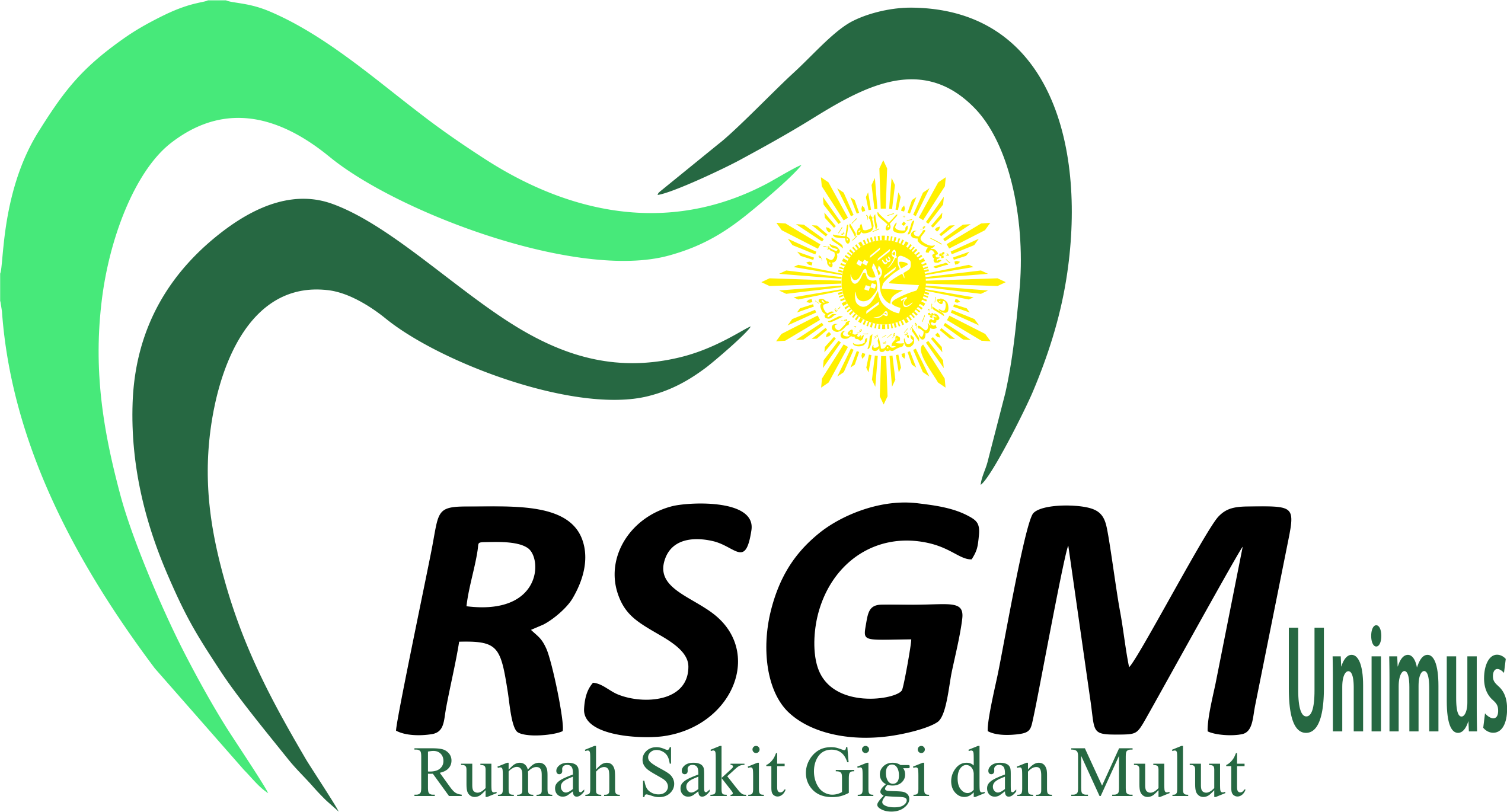 Logo_RSGM_-_Vector.png